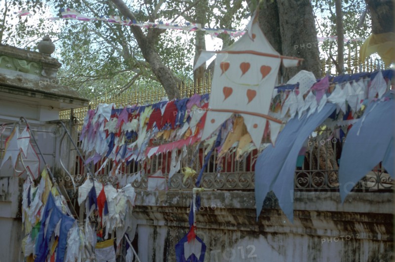 Sacred bo-tree at Anuradhapura in Sri Lanka. Artist: Unknown