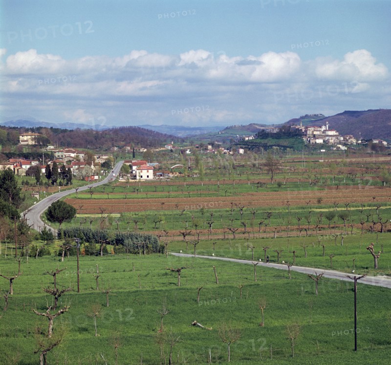 Landscape near Arezzo in central Italy. Artist: Unknown