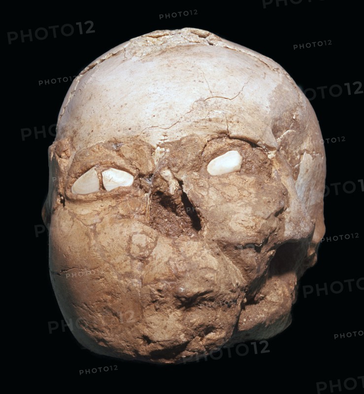Skull from Jericho, modelled with plaster and shells. Artist: Unknown