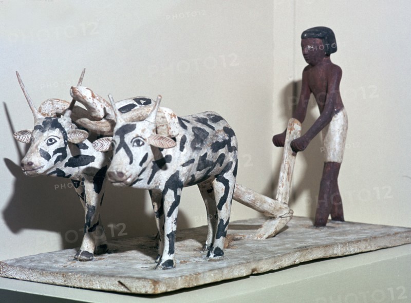 Wooden model of a man ploughing with oxen, from Egypt, Middle Kingdom, c2040-1750 BC. Artist: Unknown