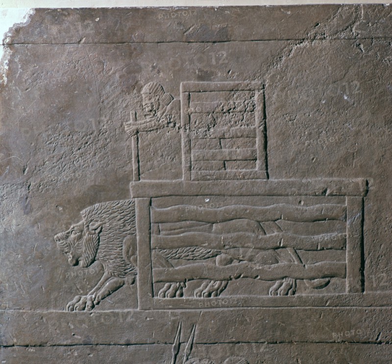 Assyrian relief of a lion being released from a cage for a hunt, 7th century. Artist: Unknown