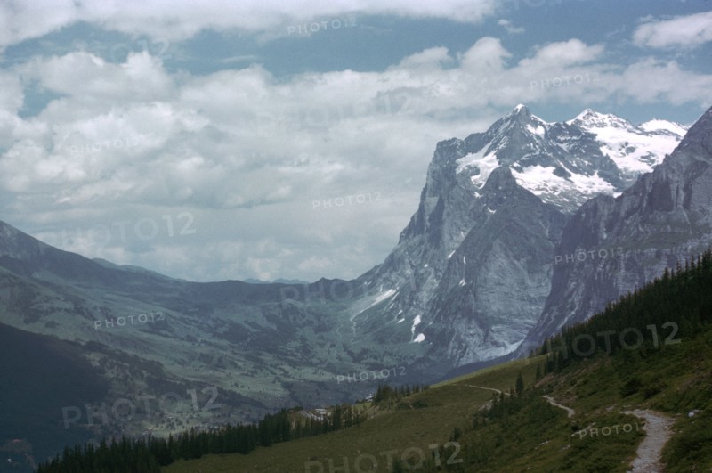 The Wetterhorn from Alpiglen. Artist: Unknown