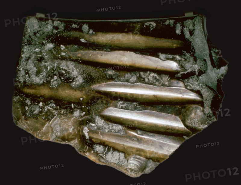 Flint polishing stone from Neolithic France. Artist: Unknown