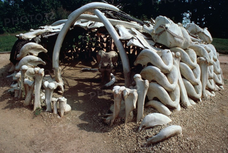 Paleolithic mammoth hunter's hut. Artist: Unknown