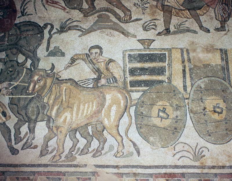 Roman mosaic of a bullock cart, 3rd century. Artist: Unknown
