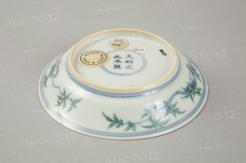 Doucai saucer with fruiting peach, late Kangxi period (1700-1722). Artist: Unknown.