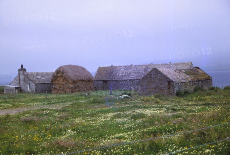 Farm near St. Magnus Church, Isle of Egilsay, Orkney, Scotland, 20th century. Artist: CM Dixon.