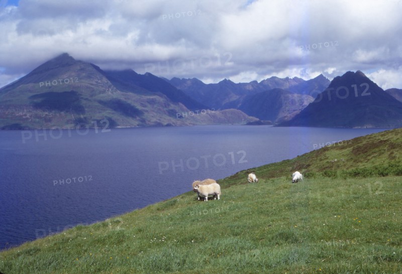 The Black Cuillin and Loch Scavaig near Elgol, Isle of Skye, Scotland, 20th century. Artist: CM Dixon.