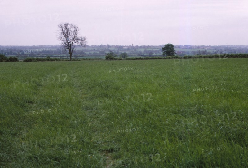 Bosworth Field. Leicestershire, England, 20th century. Artist: CM Dixon.