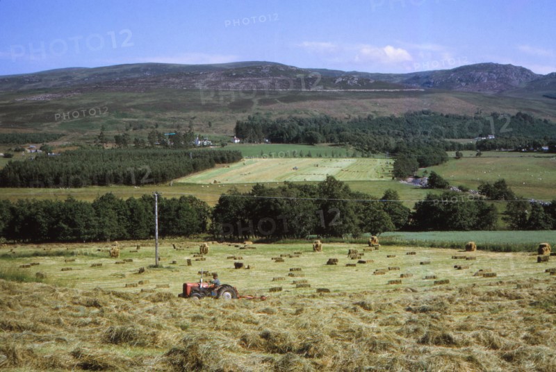 Inverness-shire, Scotland, 20th century. Artist: CM Dixon.