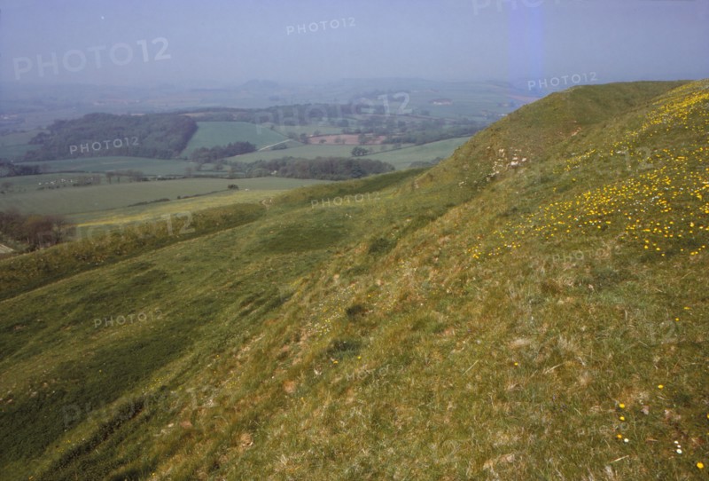 Eggardon Hill, Dorset, England, 20th century. Artist: CM Dixon.
