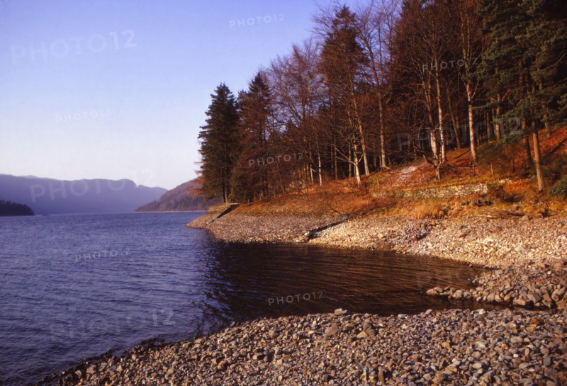 Thirlmere, East Bank Looking North, Cumberland, 20th century. Artist: CM Dixon.
