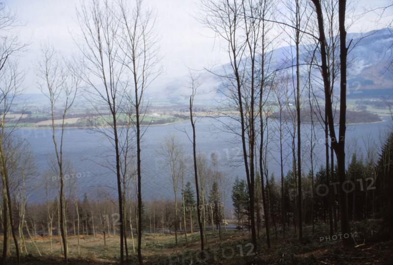Bassenthwaite Lake from the West, Cumberland, England, 20th century. Artist: CM Dixon.