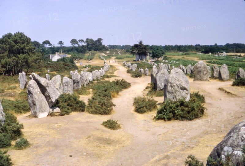 Carnac, Brittany Alignments at Kermario, c20th century. Artist: CM Dixon.