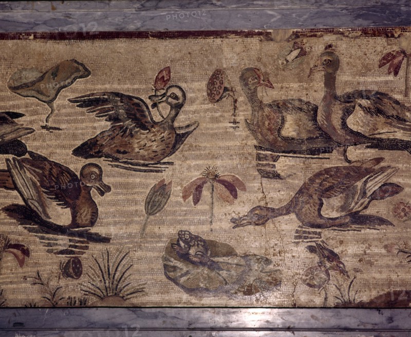 Roman Mosaic from Pompeii of ducks and frogs in a water garden, 1st century. Creator: Dioscurides of Samos.