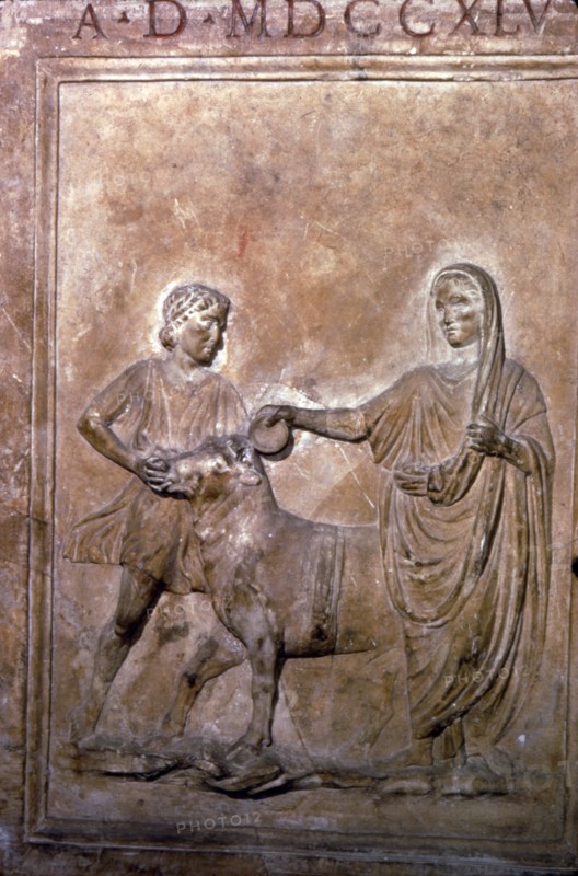 Roman Sacrifice of Bull. Artist: Unknown.