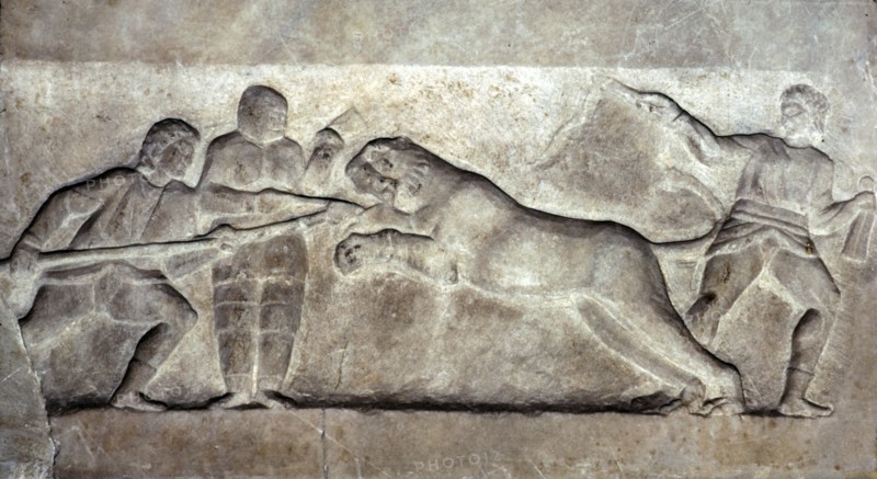 Stone relief ofStone relief of Gladiators fighting a lion, Turkey, c 323BC-31BC Artist: Unknown.