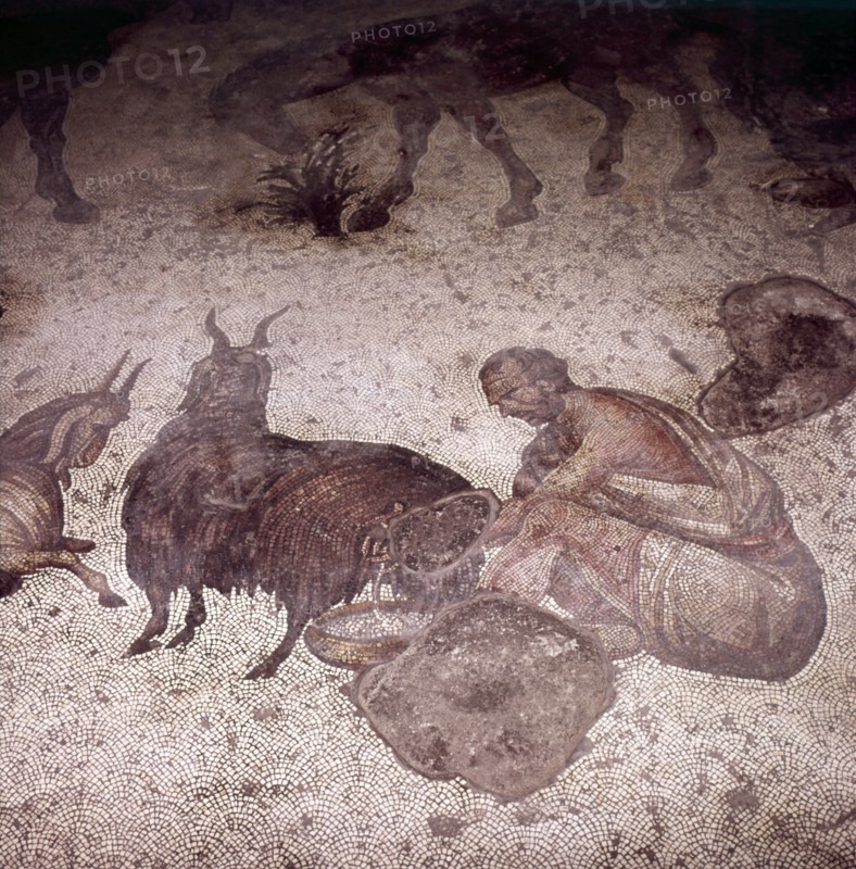 Detail of Floor Mosaic at Great Palace, Istanbul, Reign of Justin, 565-575. Artist: Unknown.