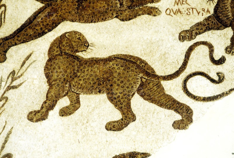 Leopard, c2nd-3rd century. Artist: Unknown.