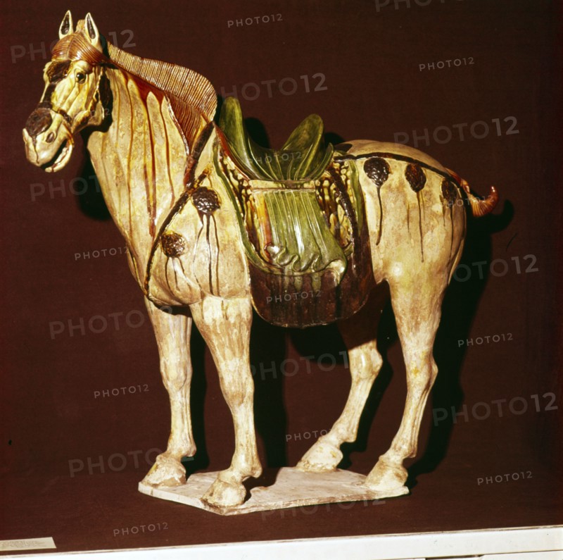 Chinese Horse from a Tomb, T'Ang Dynasty, 7th-10th century Artist: Unknown.