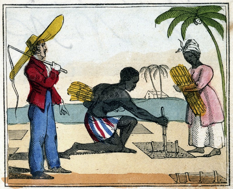 'Planting', 1826. Artist: Unknown