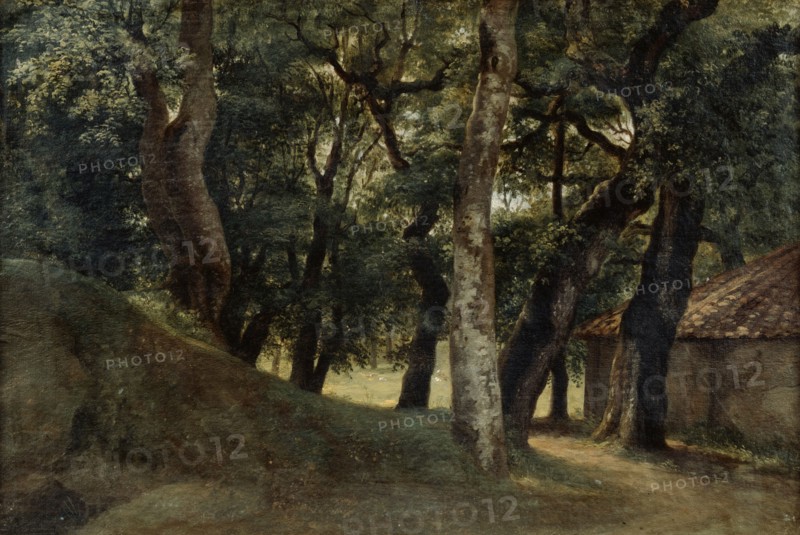 'Forest of the Villa Borghese', late 18th/early 19th century. Artist: Pierre Henri de Valenciennes