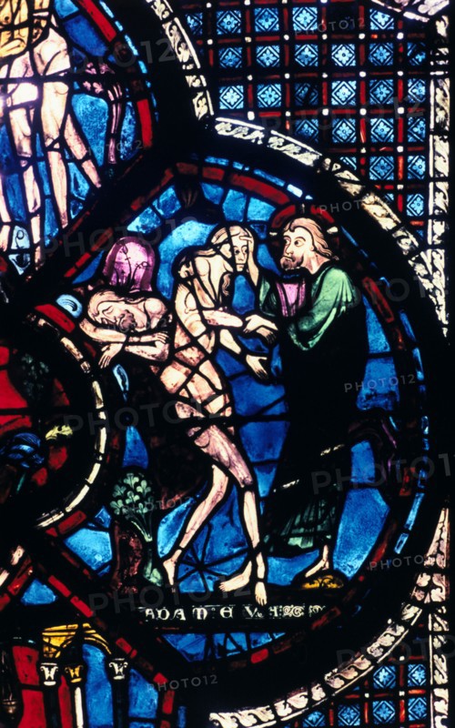 Creation of Eve, stained glass, Chartres Cathedral, France, 1205-1215. Artist: Unknown