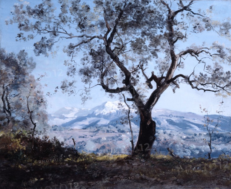 'The Area around Menton, close to Roquebrune', 1892. Artist: Emmanuel Lansyer