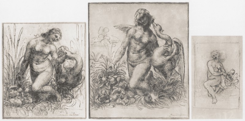 'Leda and the Swan', c1504-1506. Artist: Leonardo da Vinci