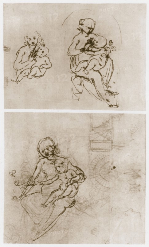 'Madonna with the Flower', c1478.  Artist: Leonardo da Vinci