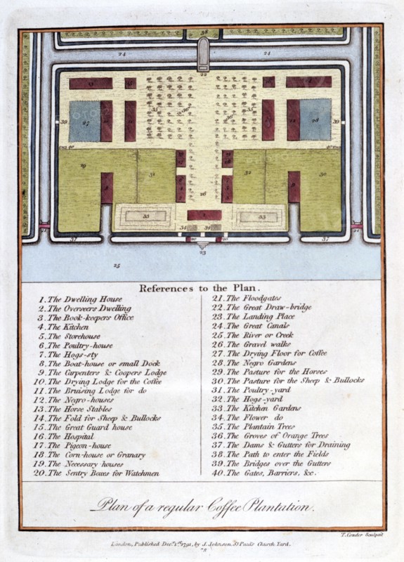'Plan of a Regular Coffee Plantation', 1813. Artist: John Gabriel Stedman