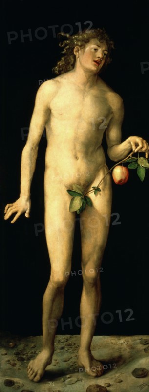'Adam', 1507. Artist: Albrecht Dürer