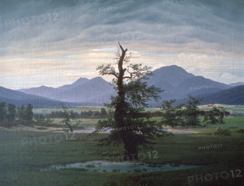 'The Solitary Tree', 1823. Artist: Caspar David Friedrich.