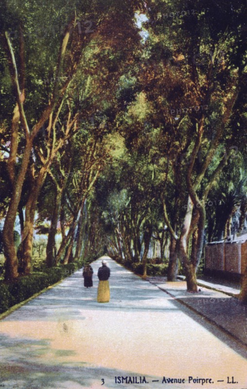 'Avenue Poirpre, Ismailia, Egypt', c1900. Artist: Unknown