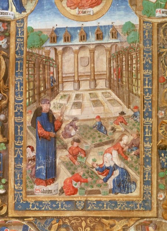 Pharmaceutical garden, 15th century. Artist: Unknown