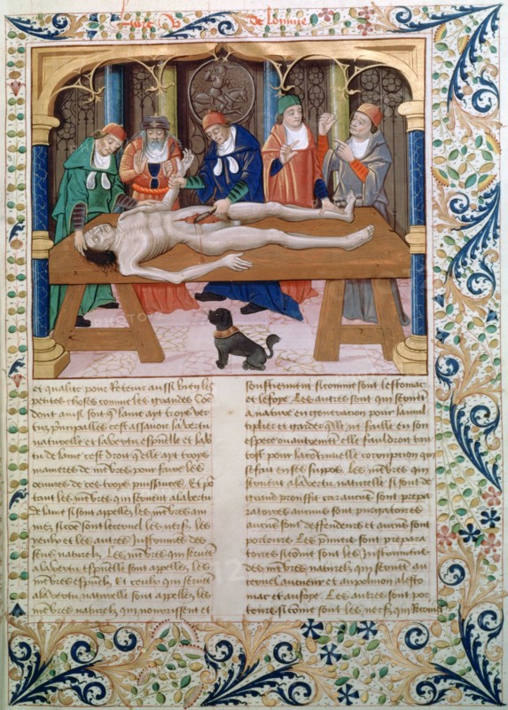 Dissection, late 15th century. Artist: Unknown