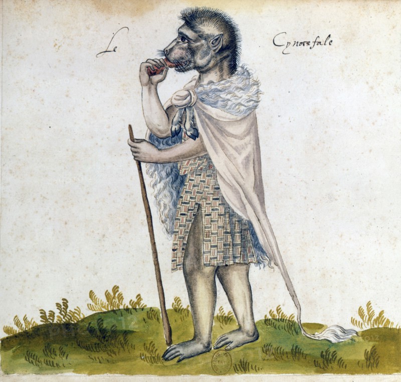 The cynoscephalus, 15th century. Artist: Unknown