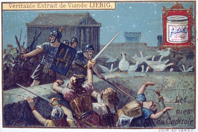 'The Geese of the Capital', Liebig continental trade card, c1900. Artist: Unknown