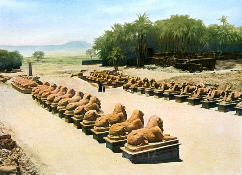 Avenue of ram-headed sphinxes, temple of Amun-Re, Karnak, Luxor, Egypt, 20th century. Artist: Unknown