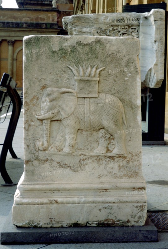 Roman relief of an elephant. Artist: Unknown