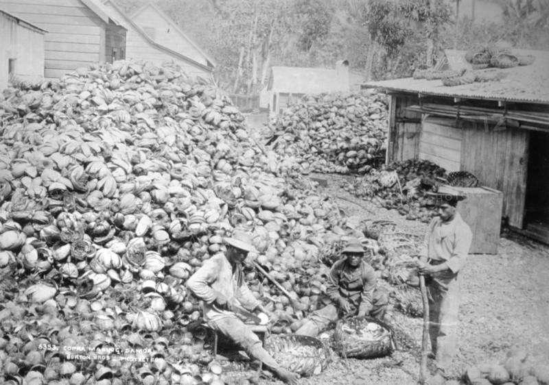 Copra making, Samoa, 1899. Artist: Burton Brothers