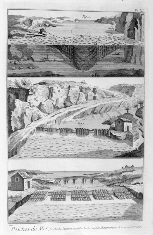 Salmon fishing, 1751-1777. Artist: Unknown