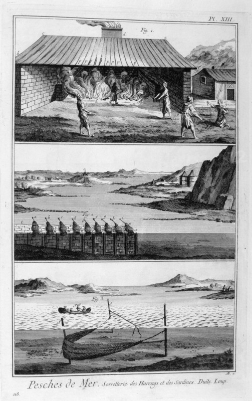 Sea fishing, herring and sardines, 1751-1777. Artist: Unknown