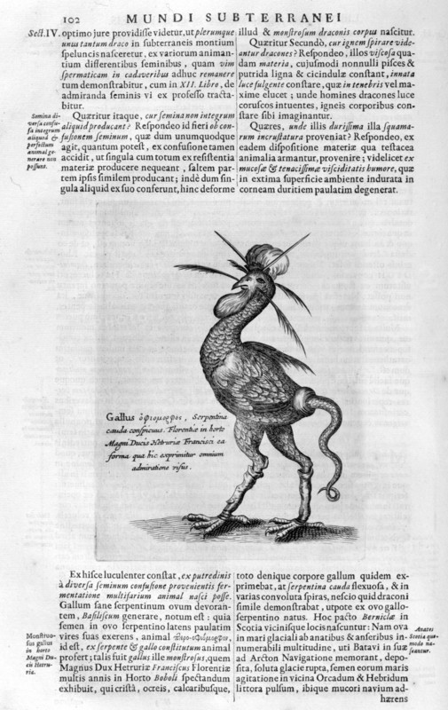 Mythical creatures, 1678.  Artist: Athanasius Kircher