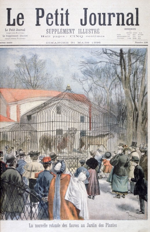 The new wildcat house at the Jardin des Plantes, Paris, 1895. Artist: Oswaldo Tofani