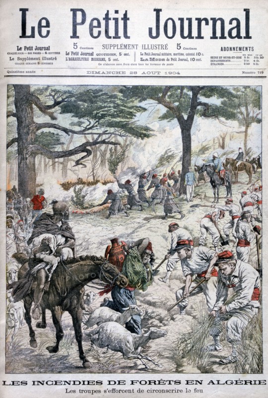 Troops trying to contain a forest fire, Algeria, 1904. Artist: Unknown