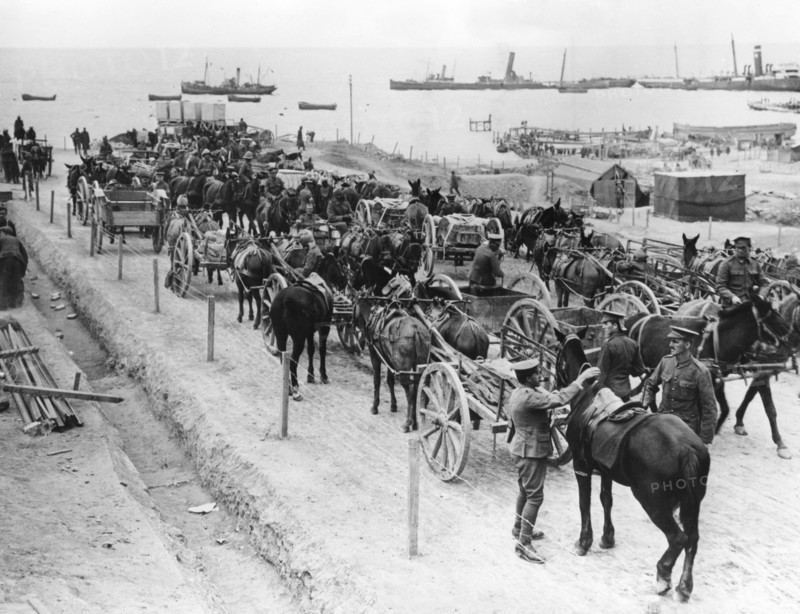 Horse drawn transportation, Allied operations in the Dardanelles, Turkey, 1915-1916. Artist: Unknown