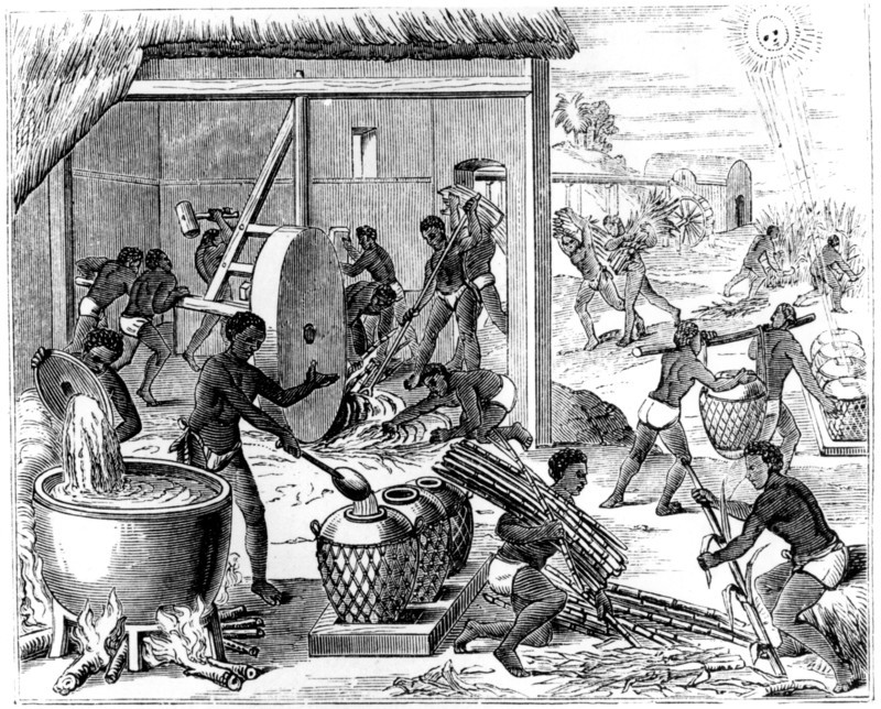Sugar production, 1873.  Creator: Unknown.