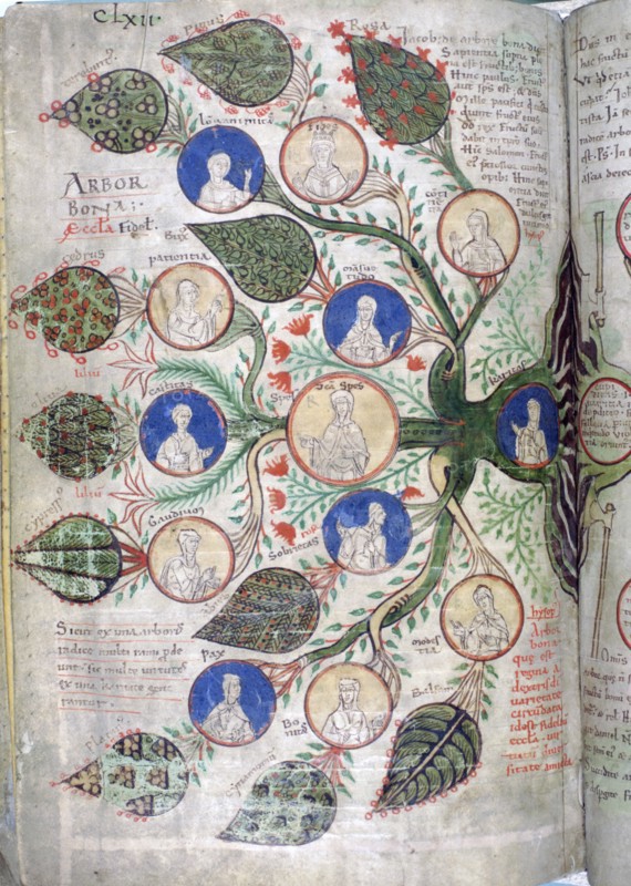 Family tree, a page from Liber Floridus, 12th century. Artist: Unknown