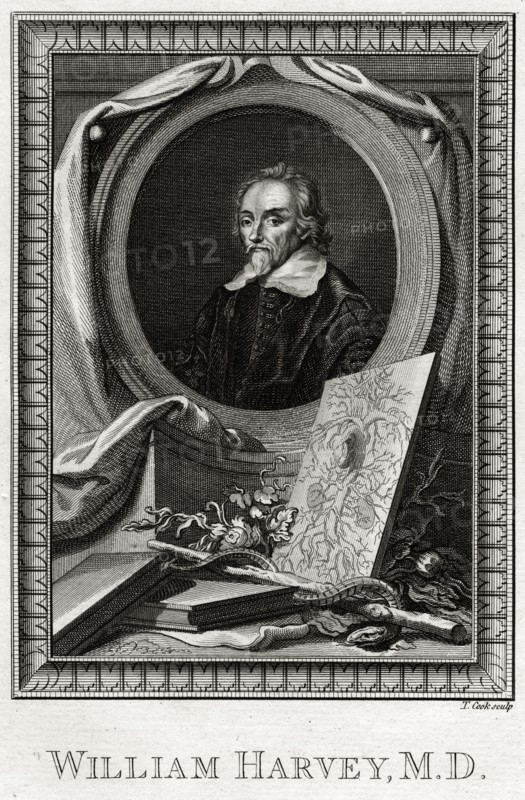 'William Harvey', 1777. Artist: Thomas Cook